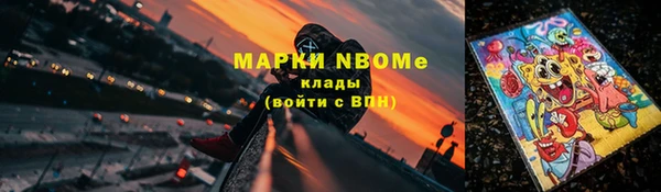 хмурый Алзамай