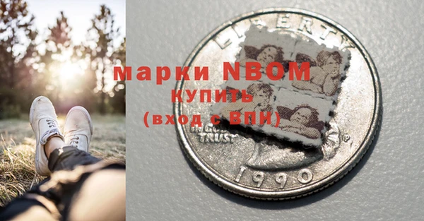 хмурый Алзамай