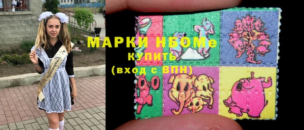 хмурый Алзамай
