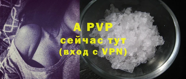 стафф Алексеевка