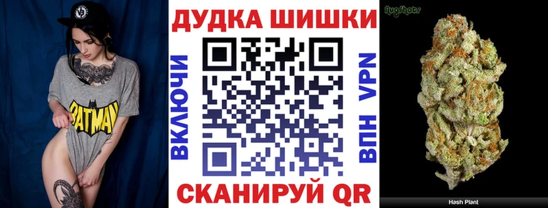 Купить  Горно-Алтайск  Каннабис план 